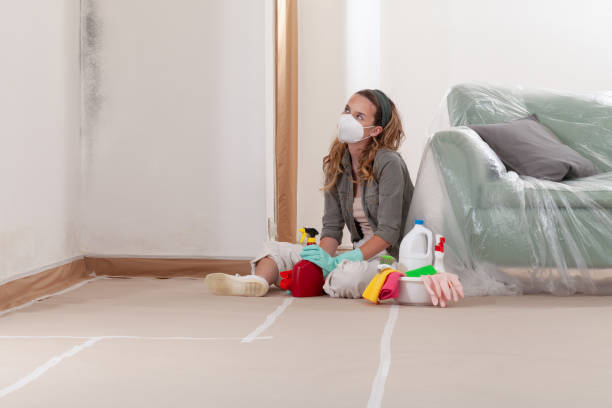 Reliable Mold Remediation contractor in Itasca, TX by 24 Hour Mold Removal